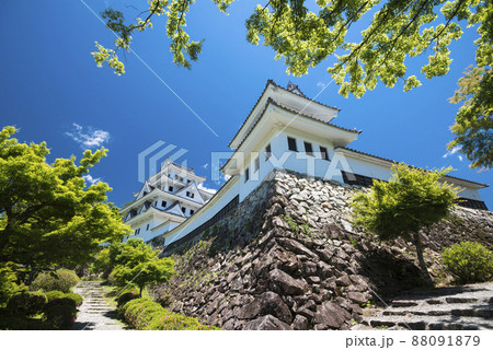 石垣と郡上八幡城 88091879