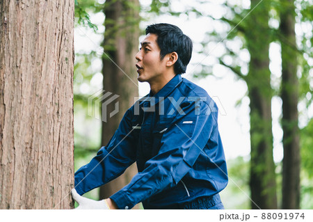 森林の仕事 森林の仕事 88091974