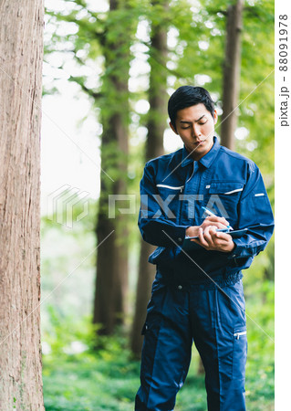 森林の仕事 森林の仕事 88091978