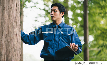 森林の仕事 88091979