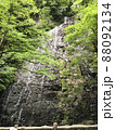 滝 88092134