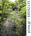滝 88092135