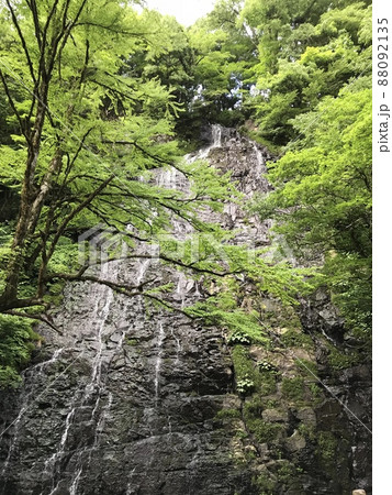 滝 88092135