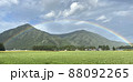 大きな虹と田んぼ 88092265