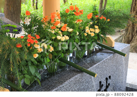 夏の現人神社 88092428