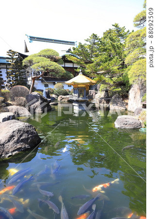 乗蓮寺(じょうれんじ)弁天 池と弁天堂 客殿(奥) 乗蓮寺(じょうれんじ)弁天 池と弁天堂 客殿(奥) 88092509