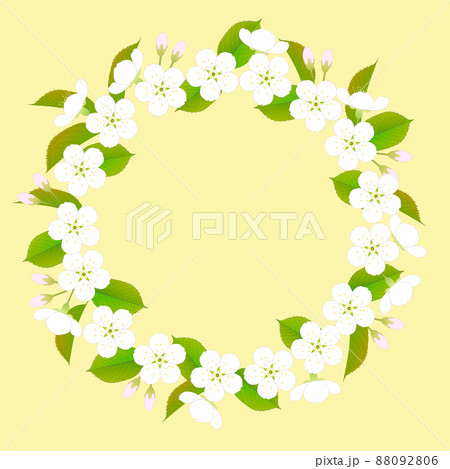 クリーム色の背景にサクランボの白い花と若葉のリースのイラスト素材