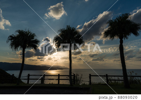 大浜海浜公園の夕日 88093020