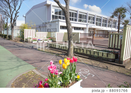 チューリップと小学校校門 チューリップと小学校校門 88093766