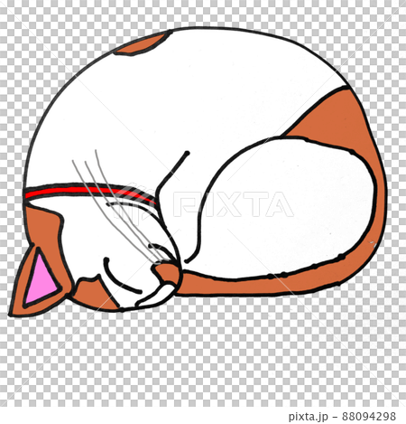Sleeping cat 88094298