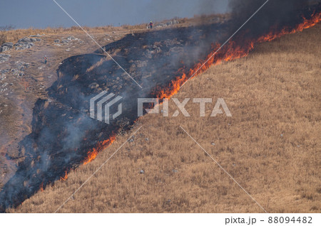 平尾台野焼き（午前の部） 88094482