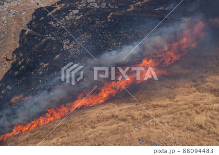 平尾台野焼き（午前の部） 88094483
