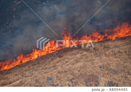 平尾台野焼き（午前の部） 88094485