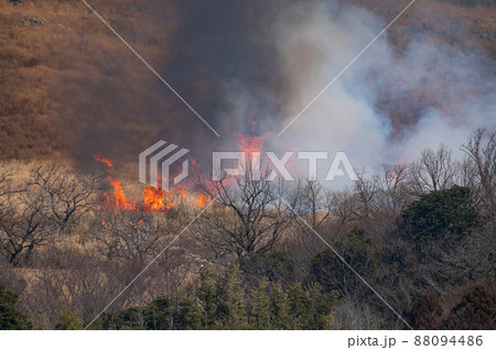 平尾台野焼き（午前の部） 88094486