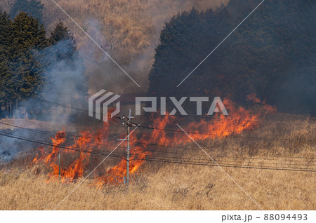 平尾台野焼き（午前の部） 88094493
