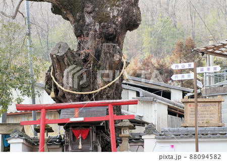 丹波焼の里を散策 丹波篠山市 3月中旬 丹波焼の里を散策 丹波篠山市 3月中旬 88094582