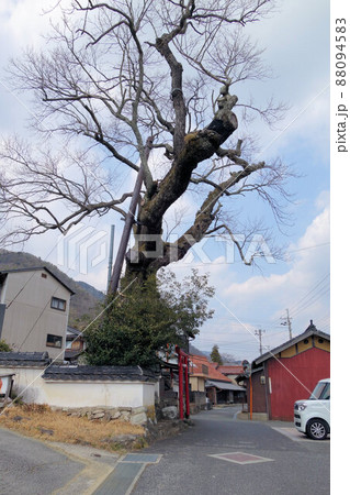 丹波焼の里を散策 丹波篠山市 3月中旬 丹波焼の里を散策 丹波篠山市 3月中旬 88094583
