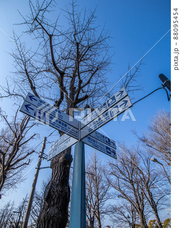 山下公園　元町中華街駅　案内 88095454