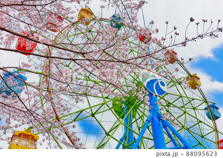国分城山公園　桜と観覧車 88095623