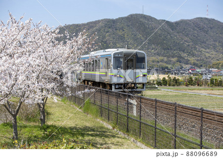 桜と電車 桜と電車 88096689