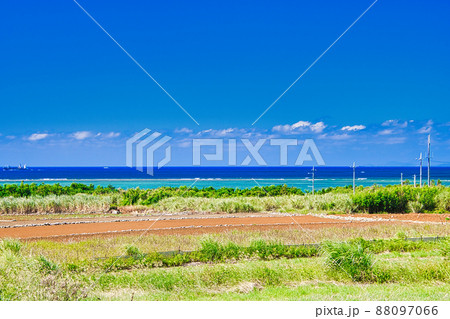 沖縄ののどかな風景 沖縄ののどかな風景 88097066