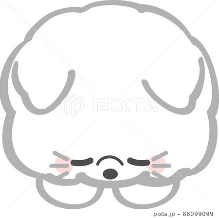 挨拶する白い猫 ペコリのイラスト素材