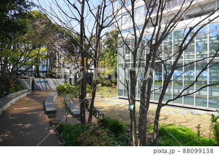 3月　豊島79豊島の森･豊島区役所屋上庭園 88099138