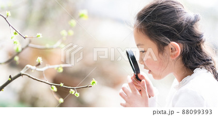 木の枝の新芽を虫眼鏡で観察する少女 木の枝の新芽を虫眼鏡で観察する少女 88099393