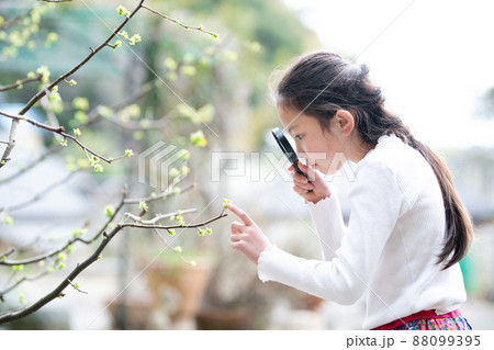木の枝の新芽を虫眼鏡で観察する少女 木の枝の新芽を虫眼鏡で観察する少女 88099395