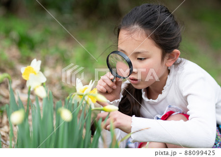 水仙の花を虫眼鏡で観察する少女 88099425