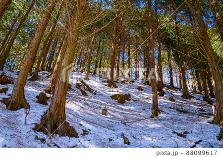 厳冬世界・雪山イメージ 88099617