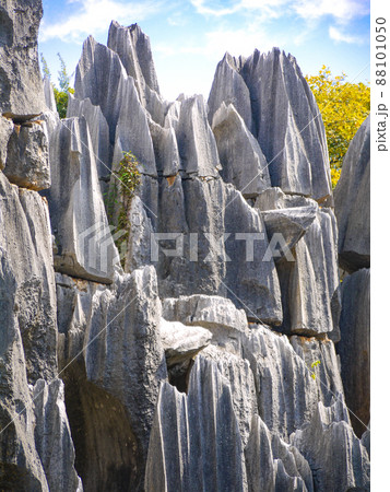 中国雲南省・世界遺産石林 88101050