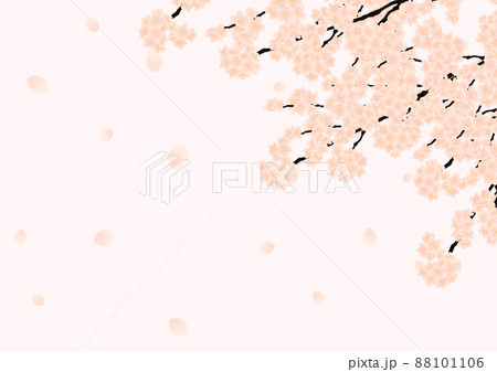 桜の花 88101106