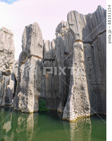 中国雲南省・世界遺産石林 88101154