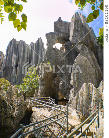 中国雲南省・世界遺産石林 88101160
