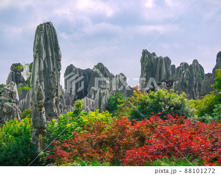 中国雲南省・世界遺産石林 88101272