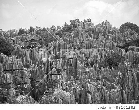 中国雲南省・世界遺産石林 88101282