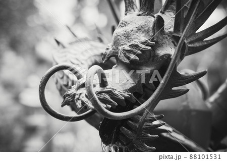 手水舎の龍 88101531