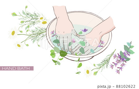 たっぷりのハーブで手浴・クラリセージ・カモミール・ペパーミント 88102622