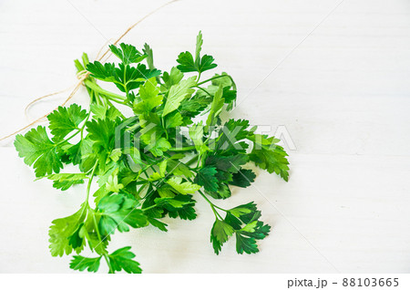 イタリアンパセリ 88103665