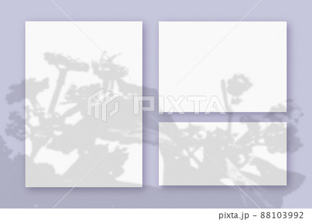 Mockup with plant shadows superimposed on3 horizontal and vertical sheet of textured white paper on a violet table background Mockup with plant shadows superimposed on3 horizontal and vertical sheet of textured white paper on a violet table background 88103992