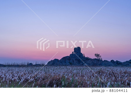 華城市 夜明け 草原 88104411