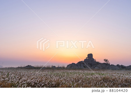 華城市 夜明け 草原 88104420