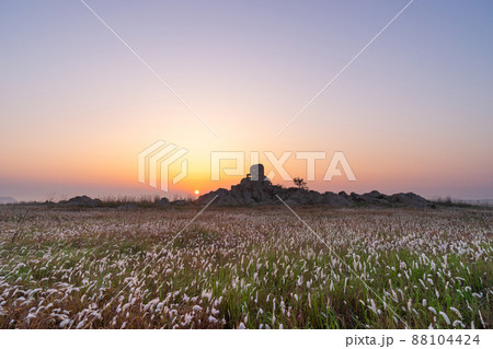 華城市 夜明け 草原 88104424