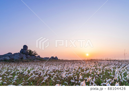 華城市 夜明け 草原 88104426