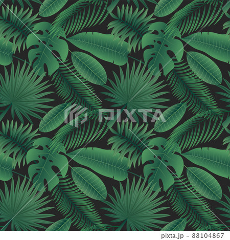 Exotic leaves pattern. Seamless print with tropical jungle greenery and palm tree leaves. Vector texture exotic green plants illustrations rainforest 88104867