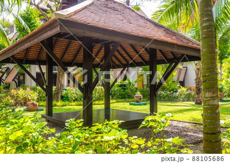 beautiful wooden gazebo in tropical nature in Thailand 88105686