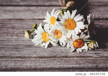 White chamomiles bouquet on wooden background, copy space 88105746