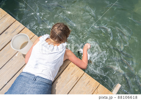 Woman Feeding big fish with small fish by hand from pier 88106618