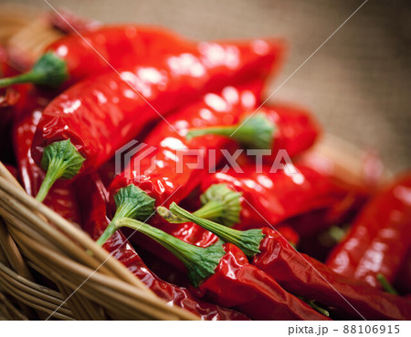 multitude of red chili peppers 88106915